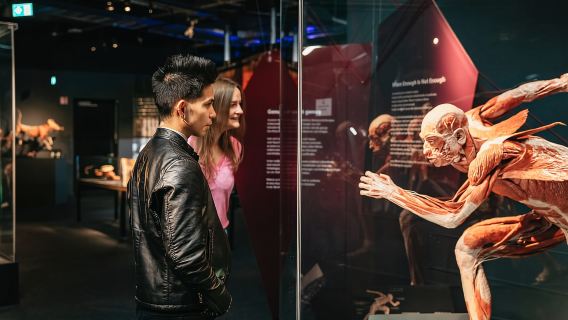 Berlijn: Tickets voor het BODY WORLDS Museum in Berlijn