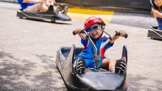 Singapore: Skyline Luge Sentosa Entry Ticket