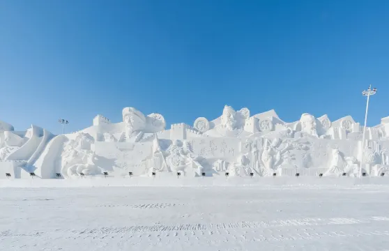 黑龍江全境  專業服務-景點講解 &俄語翻譯 & 地陪 &商務陪同&包車定制遊&行程可調/私人定制/全程專屬服務
