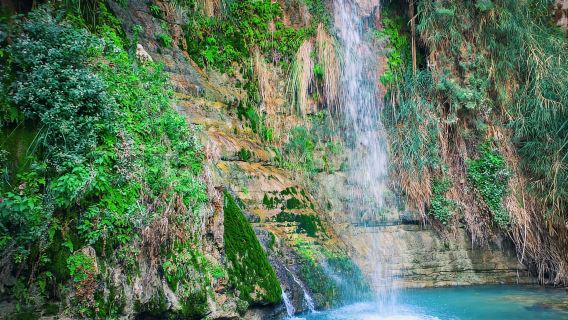 Da Gerusalemme: gita di un giorno all'alba a Masada, Ein Gedi e al Mar Morto