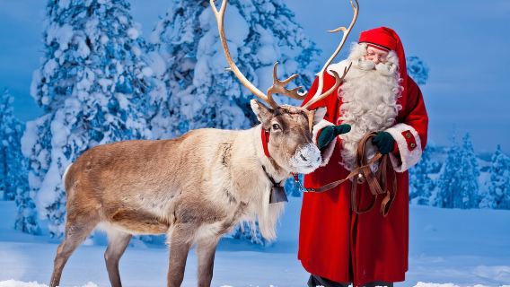 Rovaniemi senior Village 1-day tour[Chinese/English/Small Group of 8 Available]