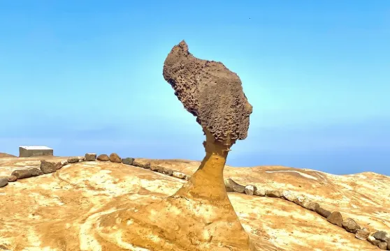 野柳+九份+十分瀑布+十分老街拼車一日遊-台北出發