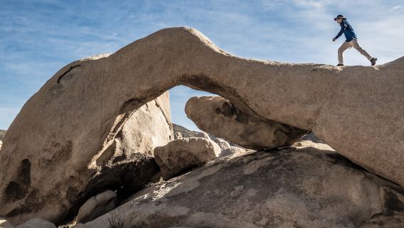 約書亞樹國家公園包車一日遊•沙漠奇境 怪石與奇樹共舞