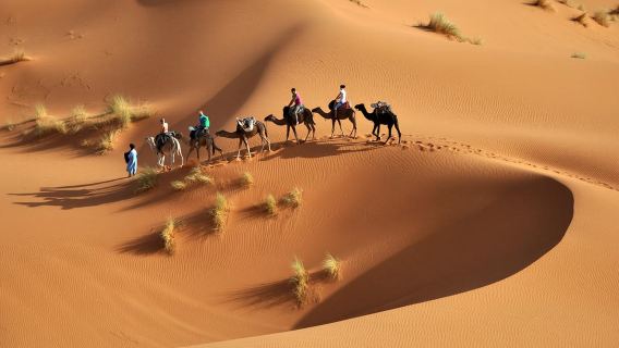 Matmata Douz - All in One Full-Day Tour