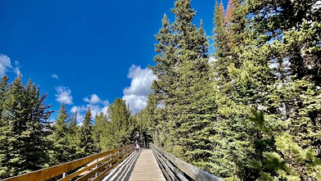 加拿大卡爾加里-驚喜角-路易絲湖-行程可調【中文包車自由行】