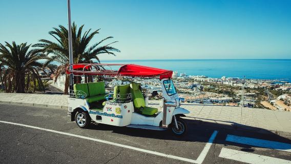 Costa Adeje: Secret Volcano Tuk Tuk Tour