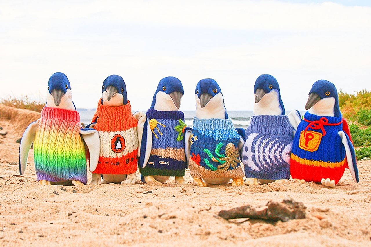 墨爾本菲利普島一日遊|趣味萌寵|中文團|市區接駁