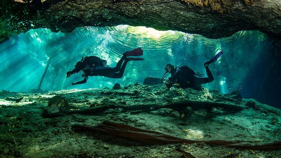 Go for 2 dives in cenote Dos ojos for certified divers