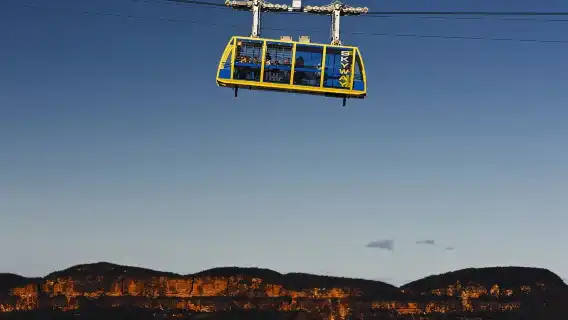 Blue Mountains 1-day tour+ Koala Photo [Includes Blue Mountains cable car and Kangaroo Feeding at Sydney Zoo]