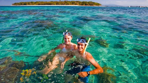 Cairns Big Cat Green Island tour giornaliero di mezza giornata (opzione mattina/pomeriggio con snorkeling)