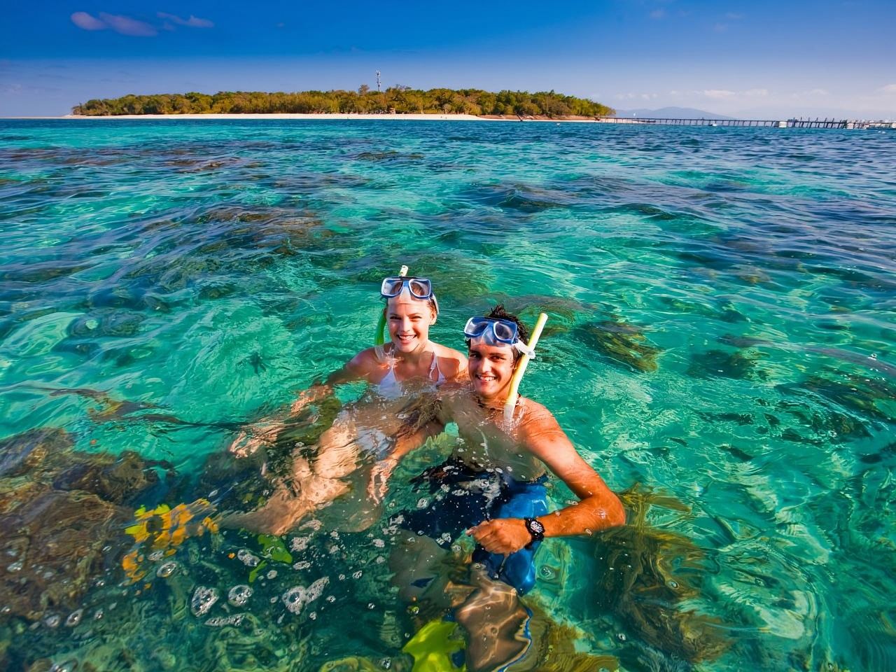 ทัวร์ครึ่งวันเกาะกรีนไอส์แลนด์บิ๊กแคทที่แคนส์ (ดำน้ำตื้นช่วงเช้า/บ่าย)