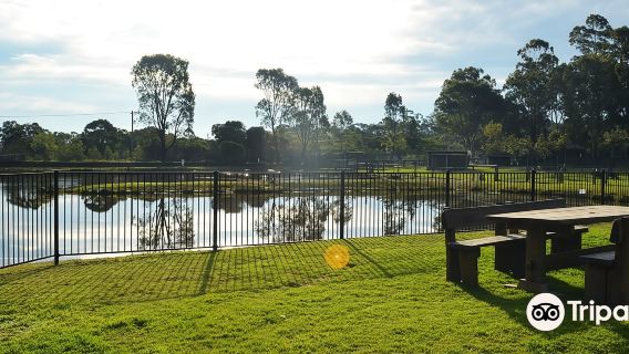 獵人谷+獵人谷野生動物園+獵人谷熱氣球體驗+雪梨一日遊