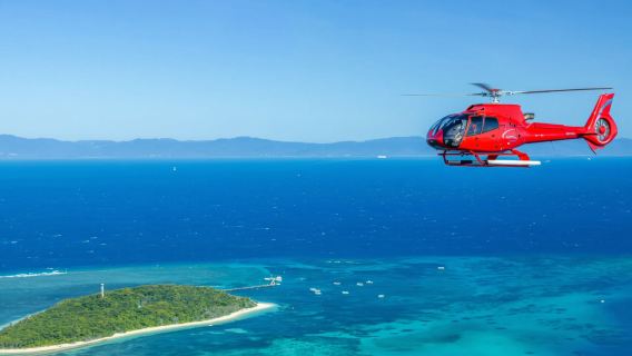 Cairns Dream Reef Great Barrier Reef Cruise + Moore Outer Reef 1-day tour[Multiple activity Available]