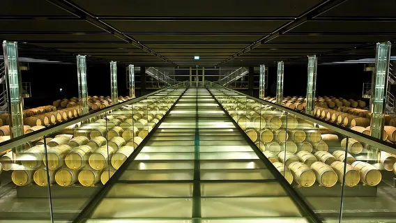 Tour rượu vang nửa ngày vùng Médoc kèm tham quan nhà máy rượu và nếm thử từ Bordeaux