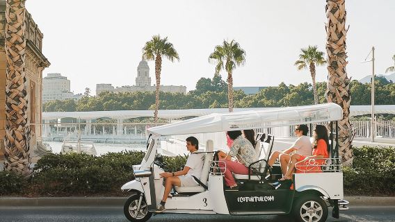 Express Tour of Malaga in Private Eco Tuk Tuk