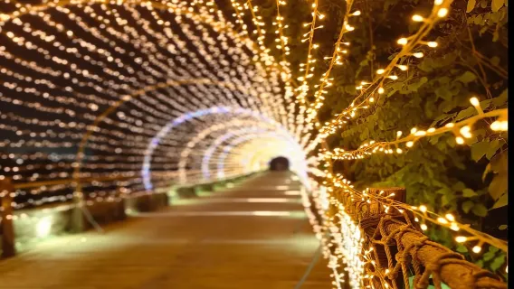 Khai Phong + Dọc theo dòng sông trong lễ hội Thanh Minh + Tường thành cổ Khai Phong + Thị trấn Zhuxian Đền Nhạc Phi hướng dẫn viên đa ngôn ngữ @