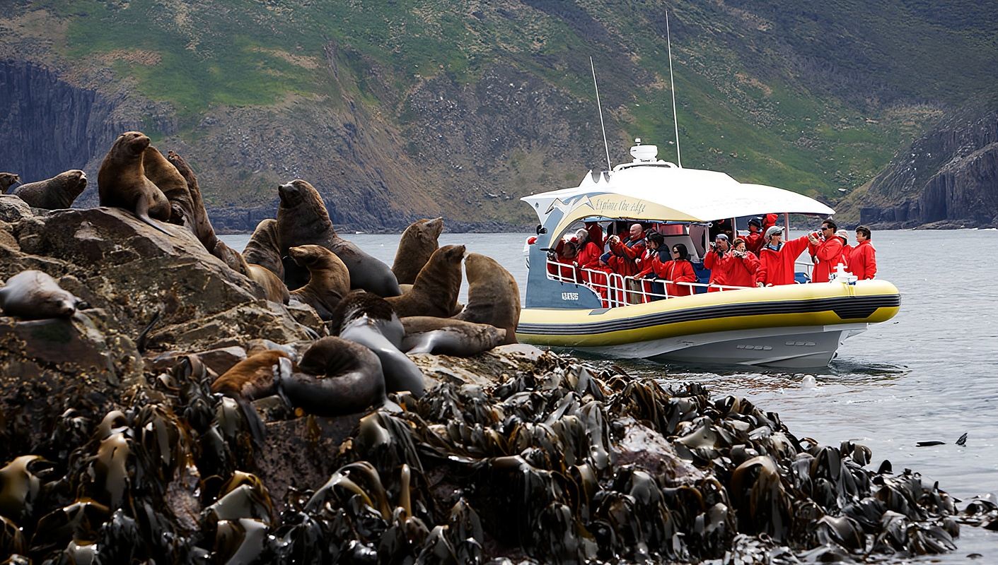 3-Hour Bruny Island Cruise Experience from Kettering, Tasmania