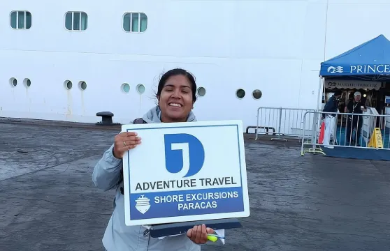 從皮斯科郵輪碼頭出發的巴耶斯塔斯群島及帕拉卡斯保護區之旅