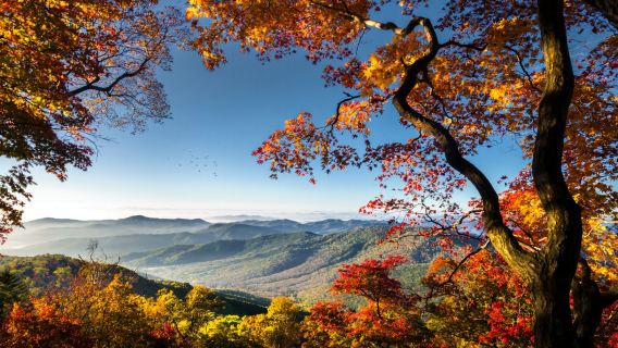 日本北海道定山溪溫泉賞秋+支笏湖【中文專車/行程定制】