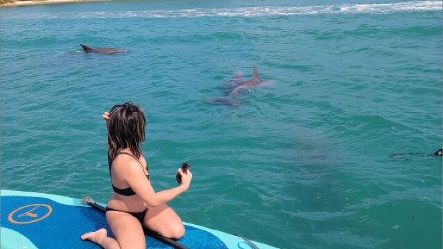 Nature & Island Exploration on SUP/Kayak