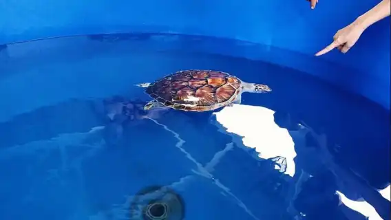 波德申龍船巡遊之旅 - 私人選項