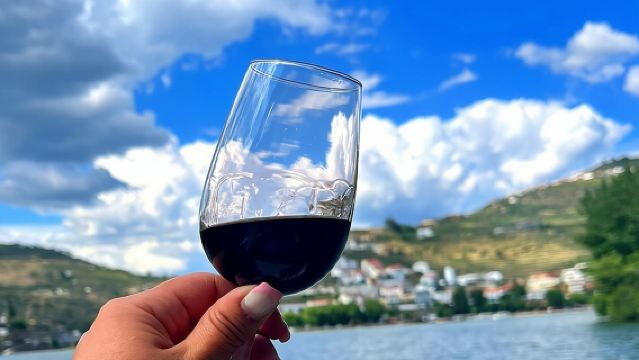 Tour en barco de 50 minutos por el río Douro en Pinhão