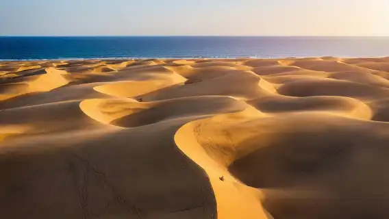 Las Palmas or Maspalomas: Contrasts tour of Gran Canaria