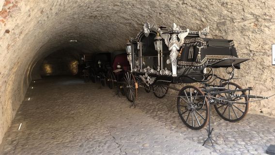 Von Bratislava: Dracula Nosferatu – Tagestour zur Orava-Burg