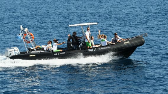 Depuis Porto : Excursion en bateau à Scandola et aux Calanques de Piana
