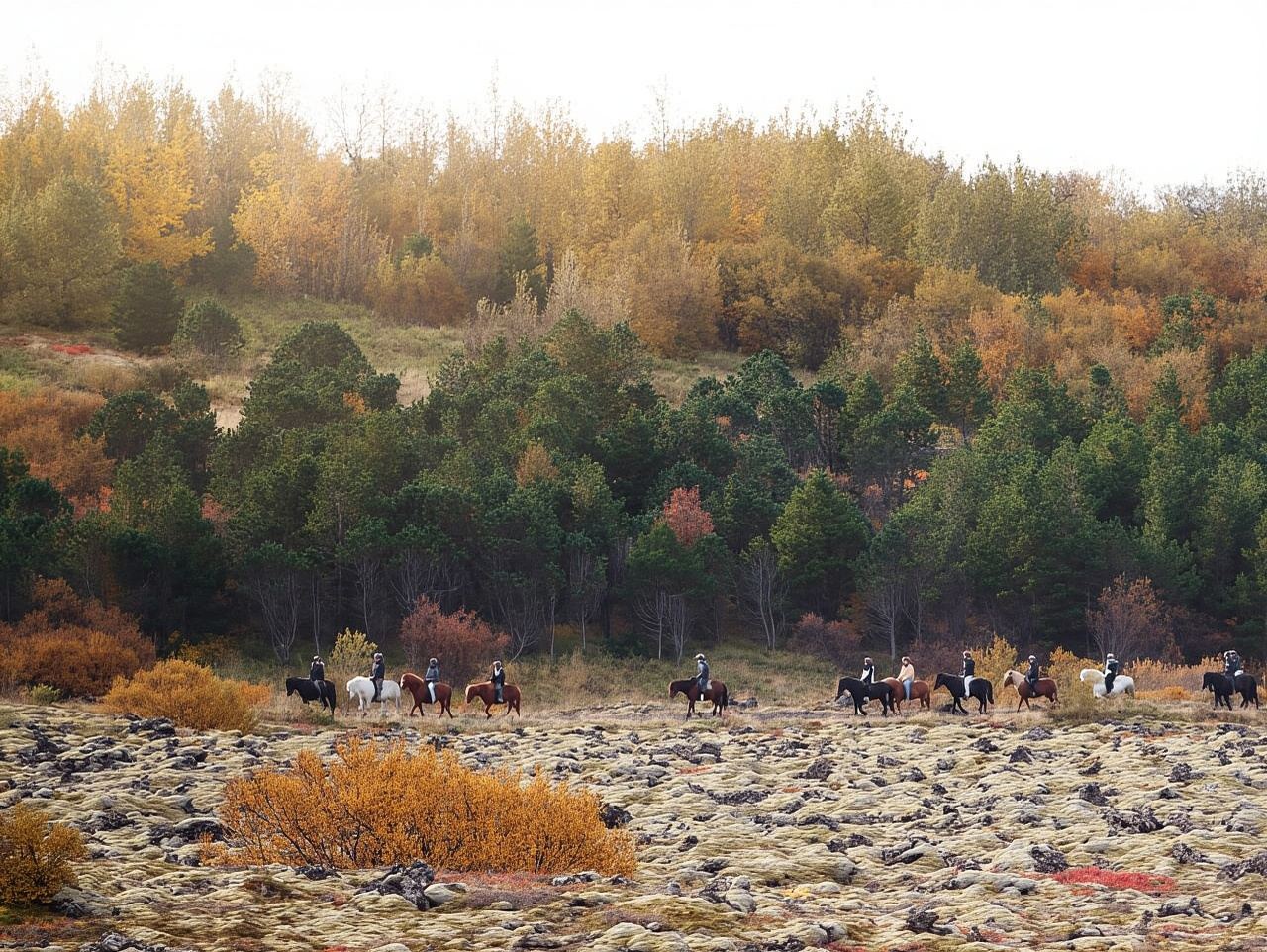Island-Reittour & Abholservice ab Reykjavik