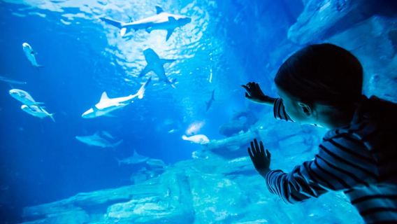 Paris : Billet d'entrée à l'Aquarium de Paris