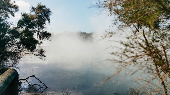 Rotorua: Recorrido geotérmico de medio día 'Thermal Path Tour'