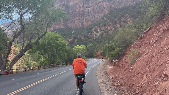 Springdale: Guided eBike Tour in Zion National Park
