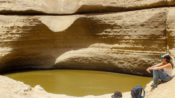 From Ica | Full Day Excursion to Los Perdidos Canyon