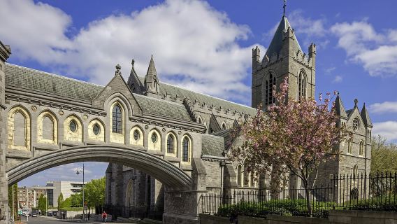 Billet d'entrée et visite autoguidée de la cathédrale Christ Church