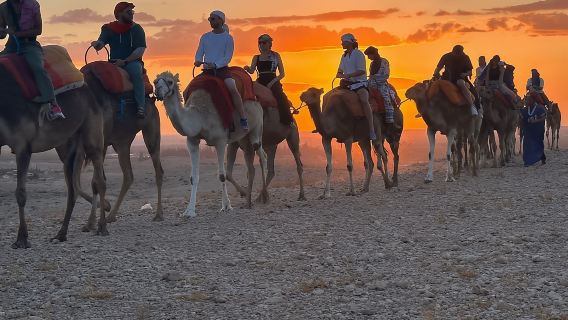 Marrakech: Tur Gurun dengan Naik Unta Saat Matahari Terbenam & Pertunjukan Makan Malam