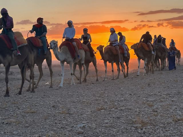 Quad bike & camel ride with Sunset Views & Dinner Show