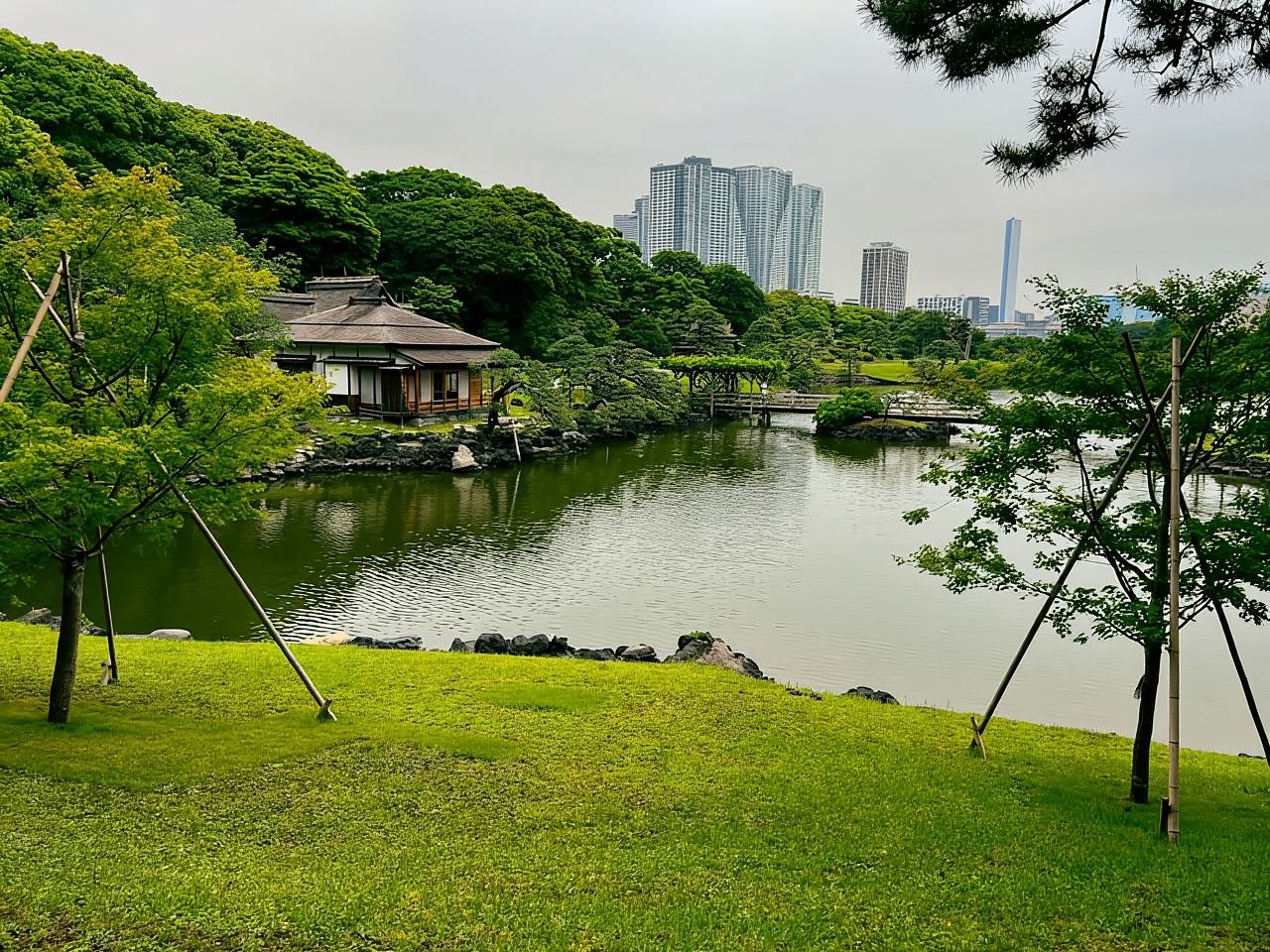 Tour sul lungomare di Tokyo: Mercato di Tsukiji e Area della Baia in 3,5 ore