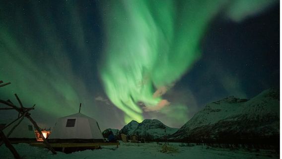 Tromsø: การให้อาหารกวางเรนเดียร์และโอกาสชมแสงเหนือ