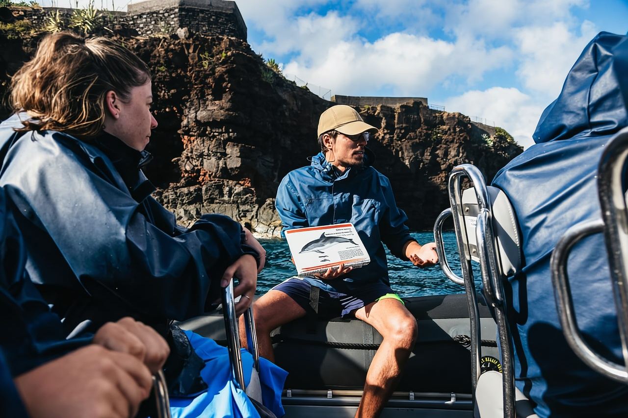 Dari Machico: Lawatan Bot Memerhati Paus dan Lumba-lumba Madeira