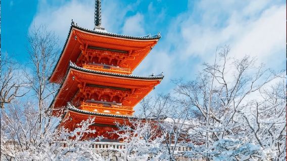 Kyoto Kiyomizu-dera Temple + Yasaka Shrine + Nara Park + Fushimi Inari Taisha Day Tour