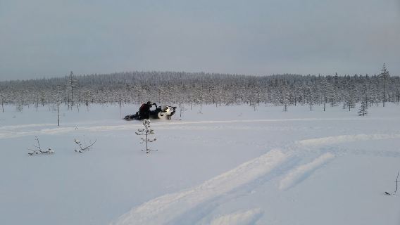 Rovaniemi: ซาฟารีสโนว์โมบิลผจญภัยในป่าเต็มวัน