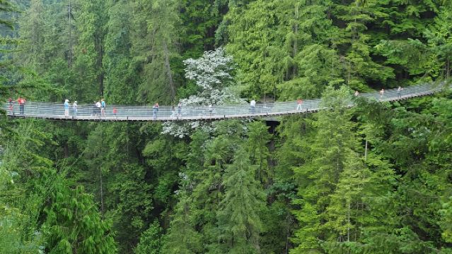 加拿大溫哥華一日遊-行程可調【中文包車自由行】