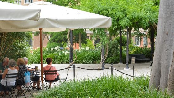 Venice: Light Lunch in San Marco: Choose Your Experience