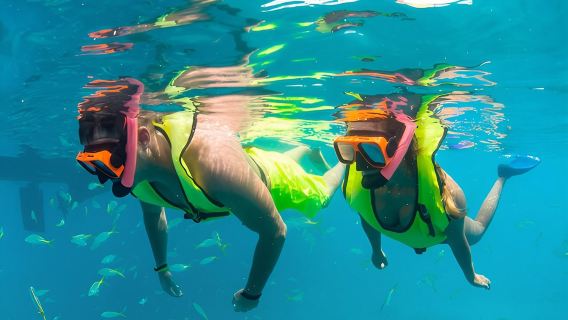 Key West Reef Snorkel – Morning Mimosas or Afternoon Margaritas
