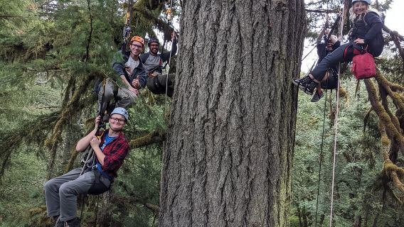 Old-Growth Tree Climbing at Silver Falls State Park
