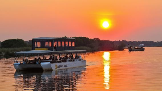 Sunset Cruise Wildlife Watching Experience at Zambezi River