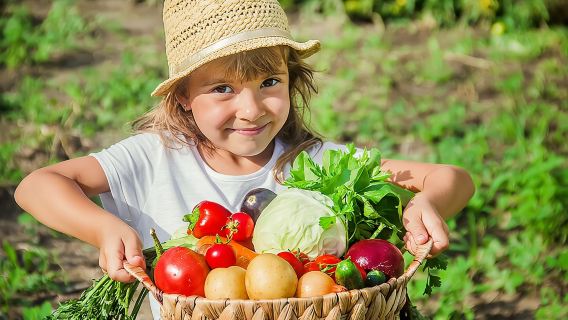 Hands-On Cooking Class & Farmhouse Tour on the Amalfi Coast