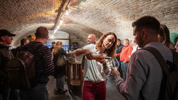 Wine Tasting with Sommelier in Bratislava