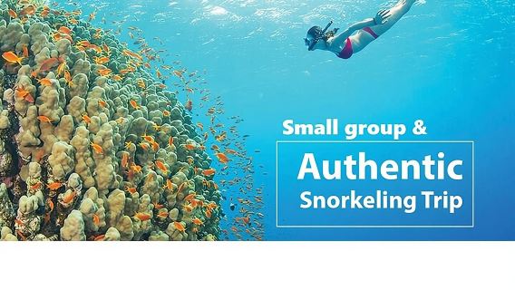 Real snorkel trip to explore Cham island by speedboat-SMALL GROUP